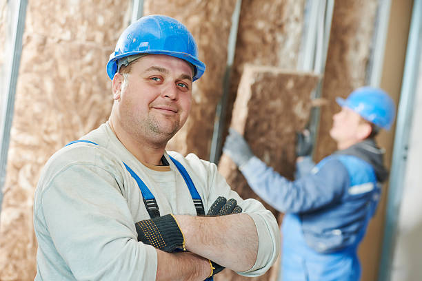 Best Eco-Friendly Insulation in Old Stine, CA