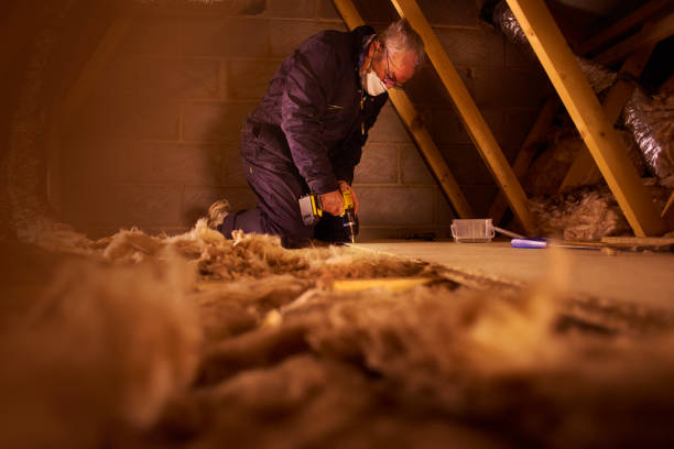 Best Specialized Insulation Services in Old Stine, CA